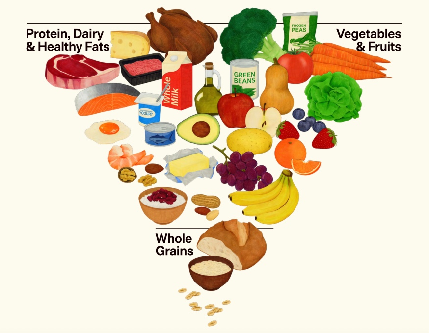 0 Nueva pirámide nutricional 2026