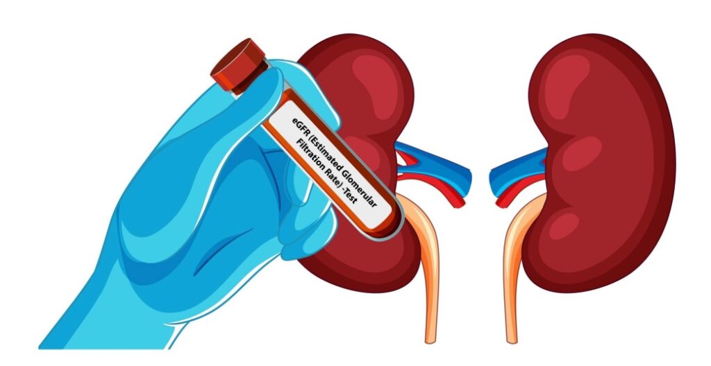 4 Día Mundial Riñón 2026 diabetes