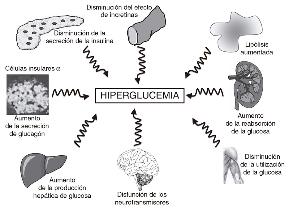 Diabetología-3-abordaje integral-4