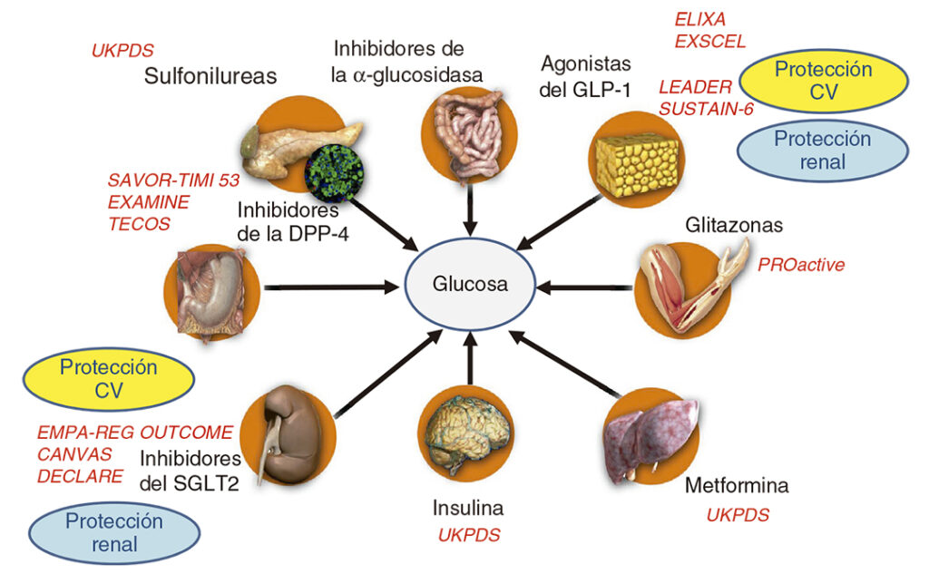 Diabetología-3-abordaje integral-7