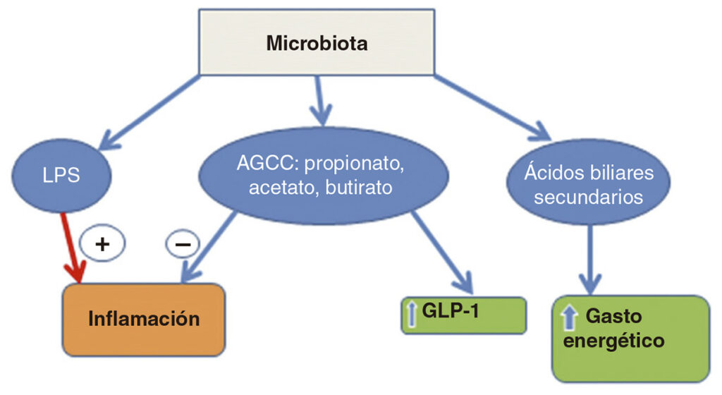 Diabetología-3-abordaje integral-9