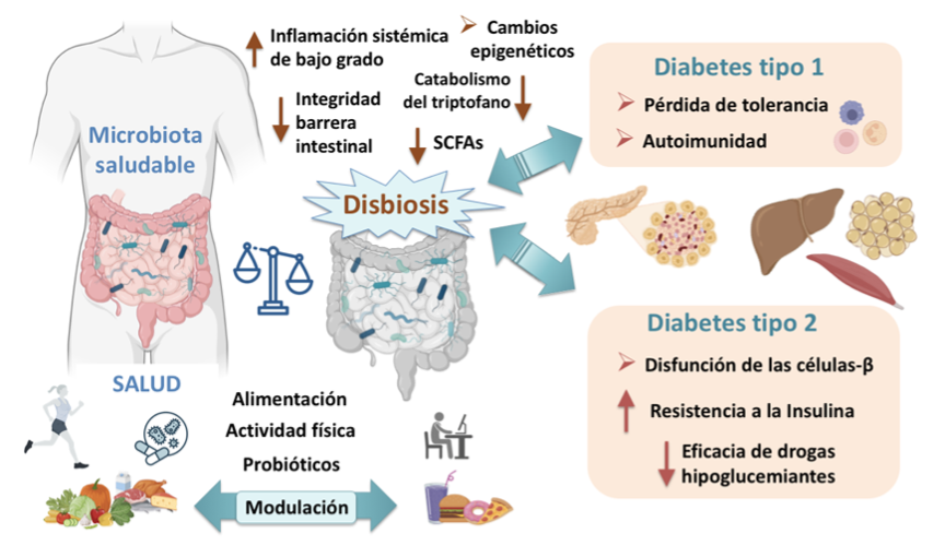 5 Revista Sociedad Argentina Diabetes 1 2026