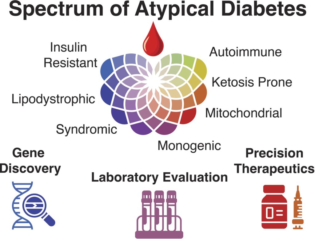 1 Diabetes atípica