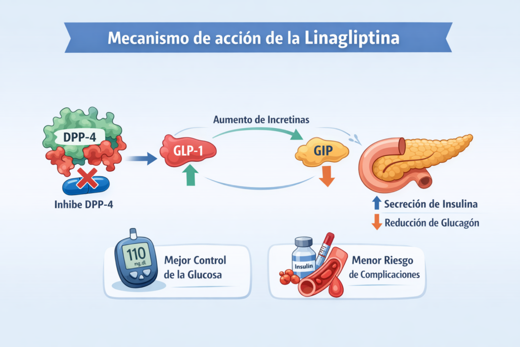 1 linagliptina diabetes tipo 2