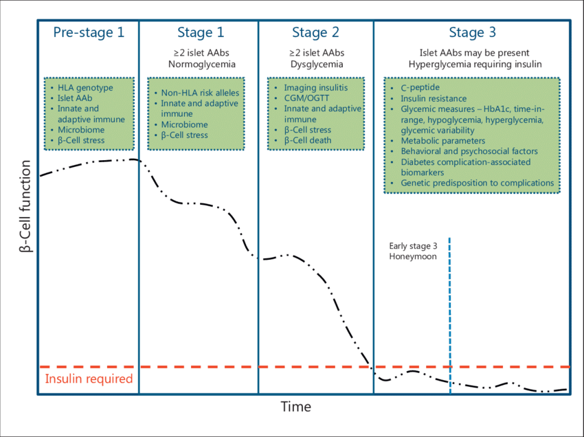 5 Diabetes 1 detección riesgo