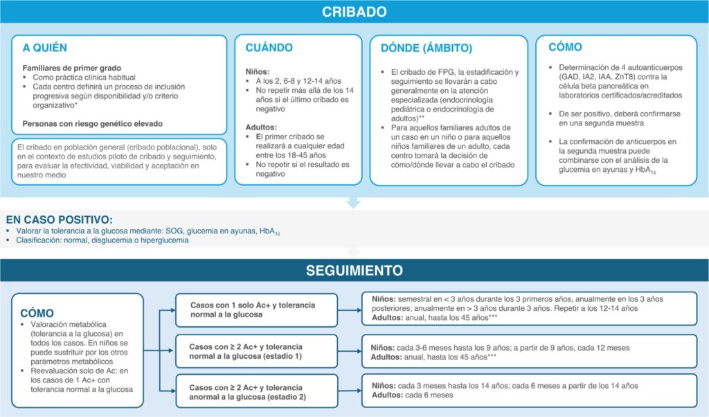 8 Cribado diabetes 1 fases preclínicas