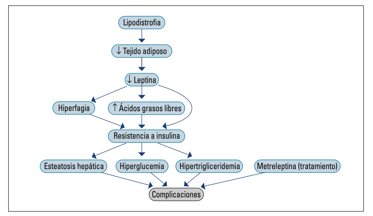 6 Revista Sociedad Argentina Diabetes 1 2026
