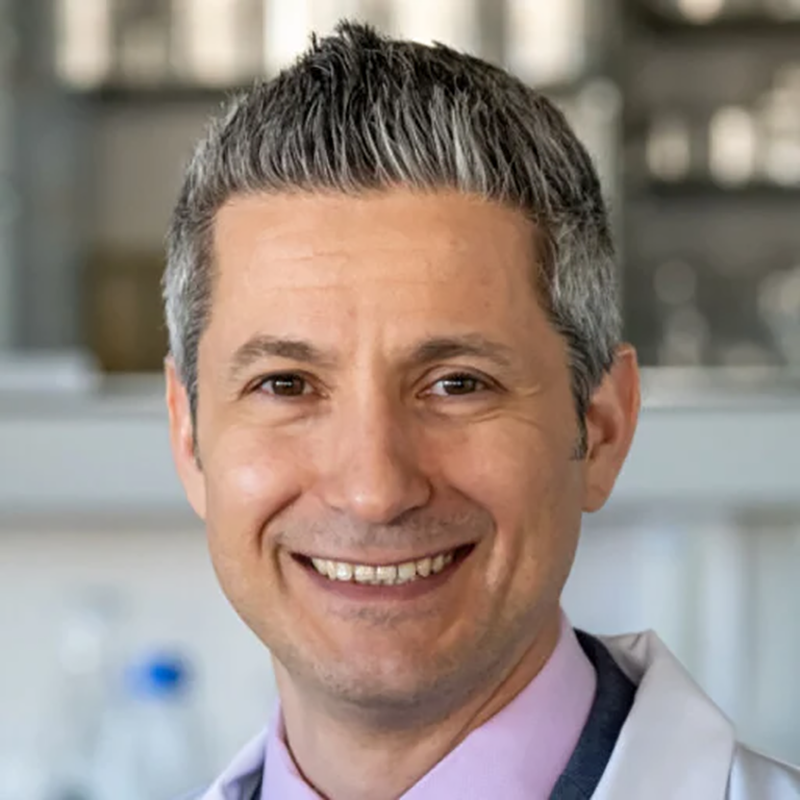 EASD-2026-programa-12