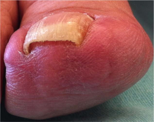 6 Dermatología Argentina 1 2026