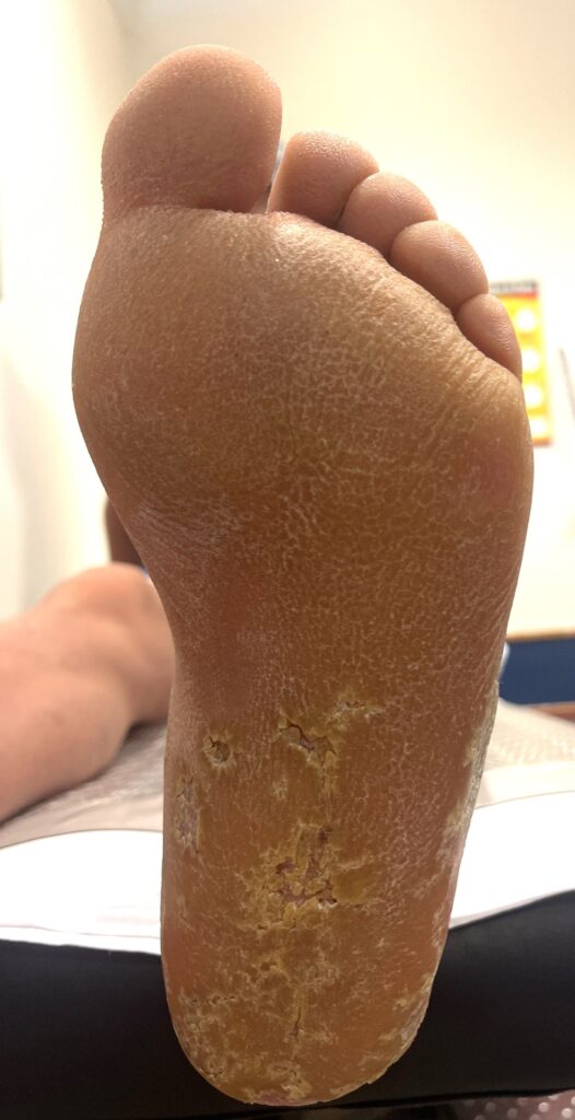 7 Dermatología Argentina 1 2026