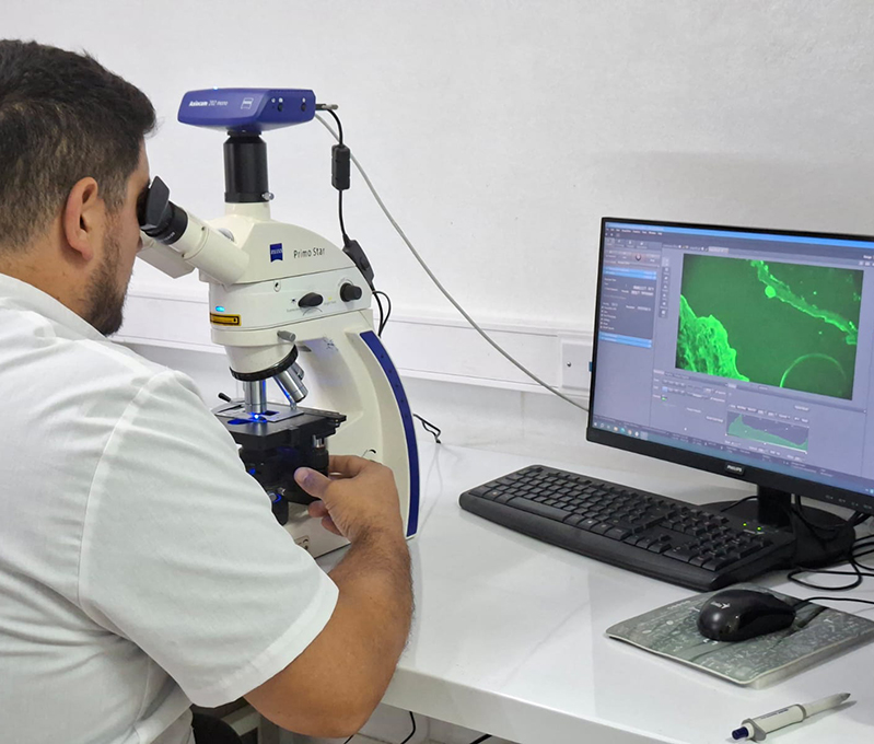 1 Autoanticuerpos enfermedades ampollares