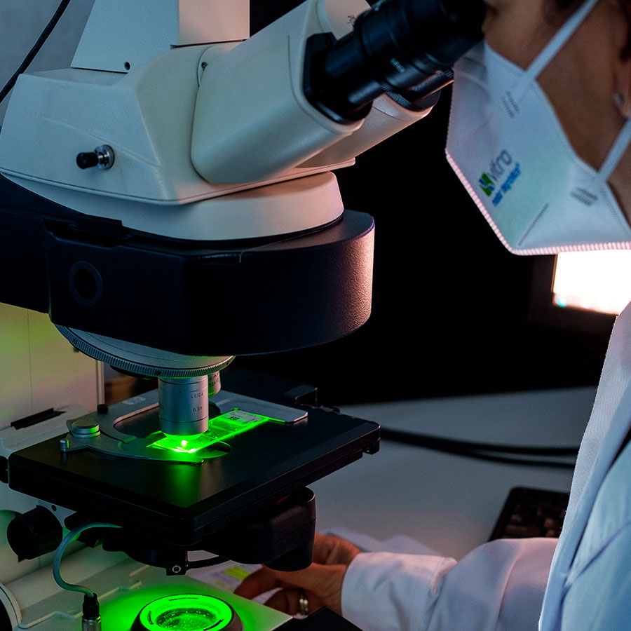 2 Inmunofluorescencia enfermedades ampollares