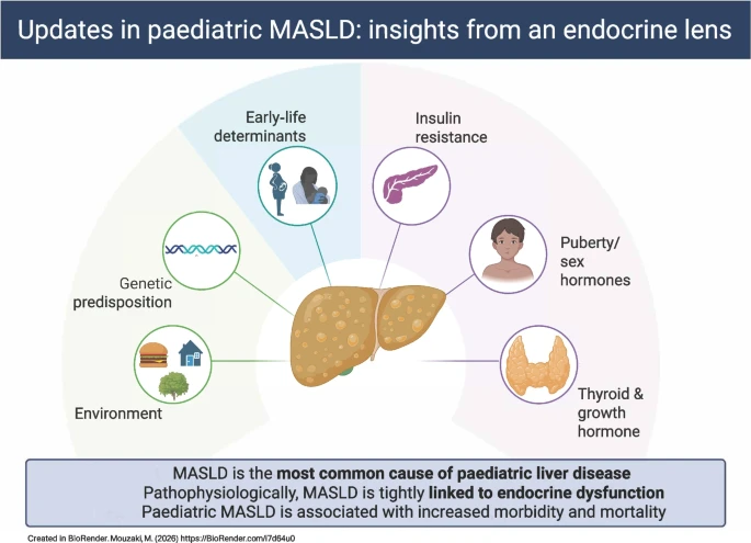 2 MASLD pediátrico una entidad distinta.png