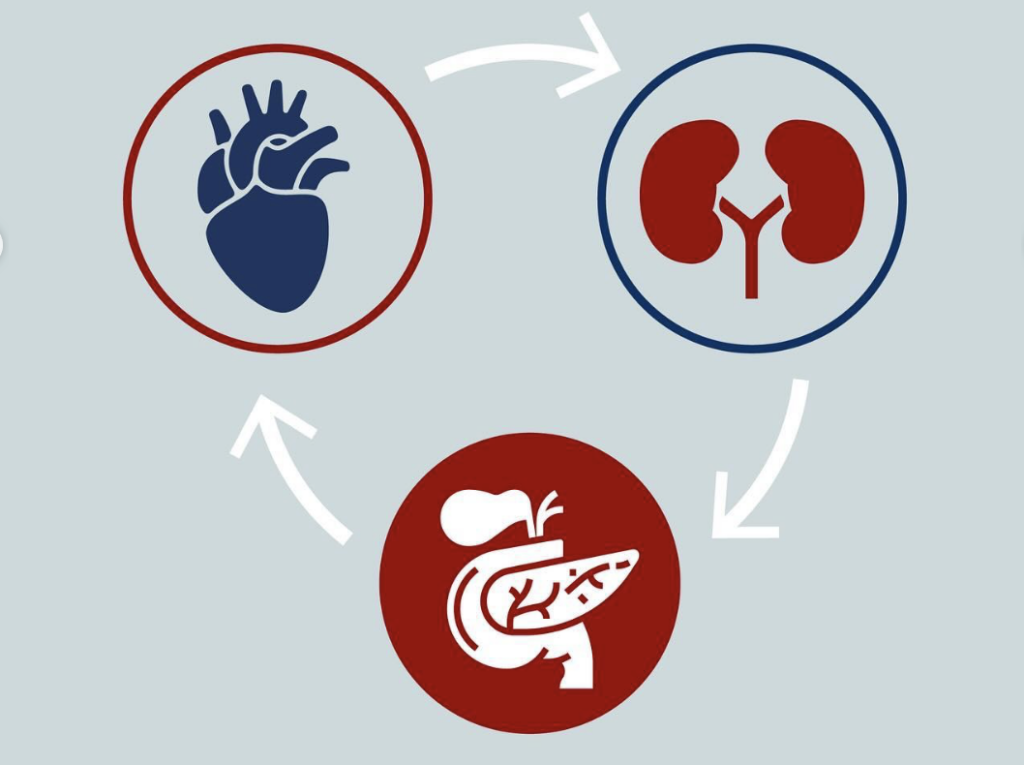 3 Algoritmo diabetes 2 clasificación comorbilidades