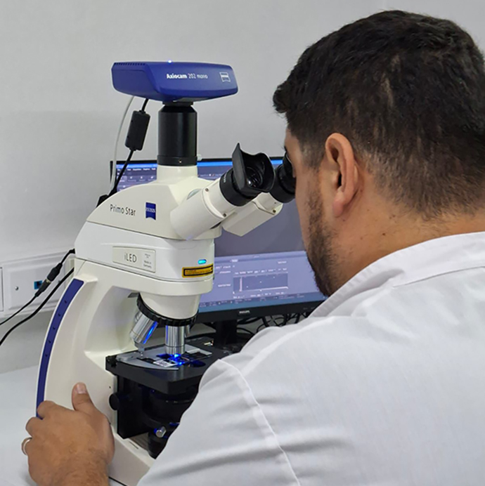 00 Inmunofluorescencia enfermedades ampollares