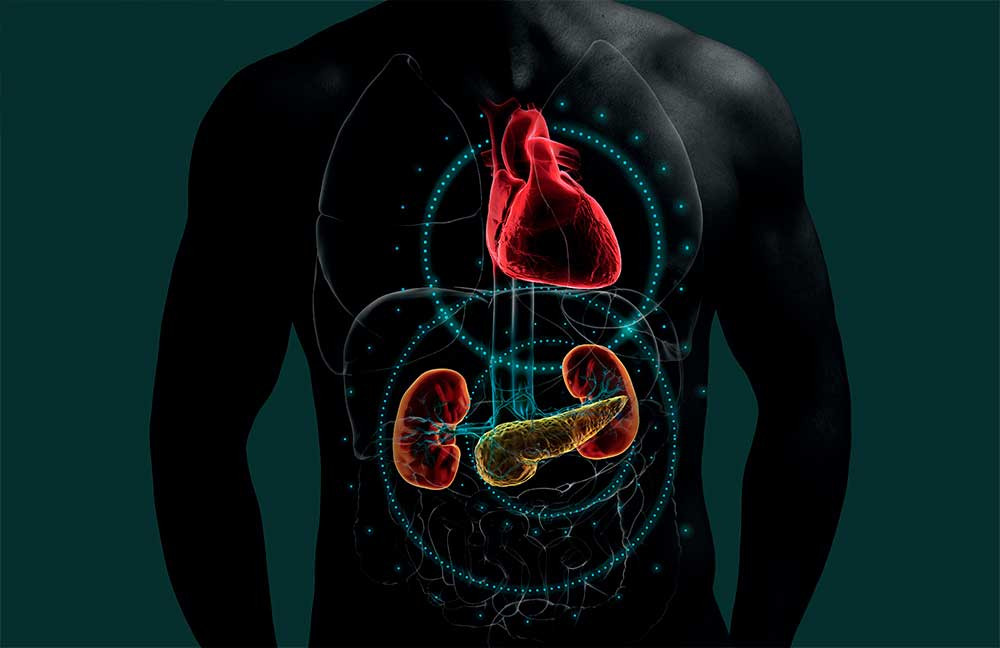 1 Enfoque cardiometabólico integral