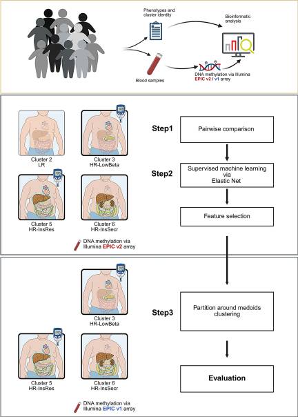 3 Prediabetes y firmas epigenéticas