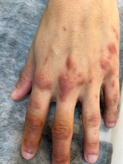 9 Dermatología Argentina 2 2026