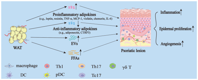 3 Psoriasis y tejido adiposo